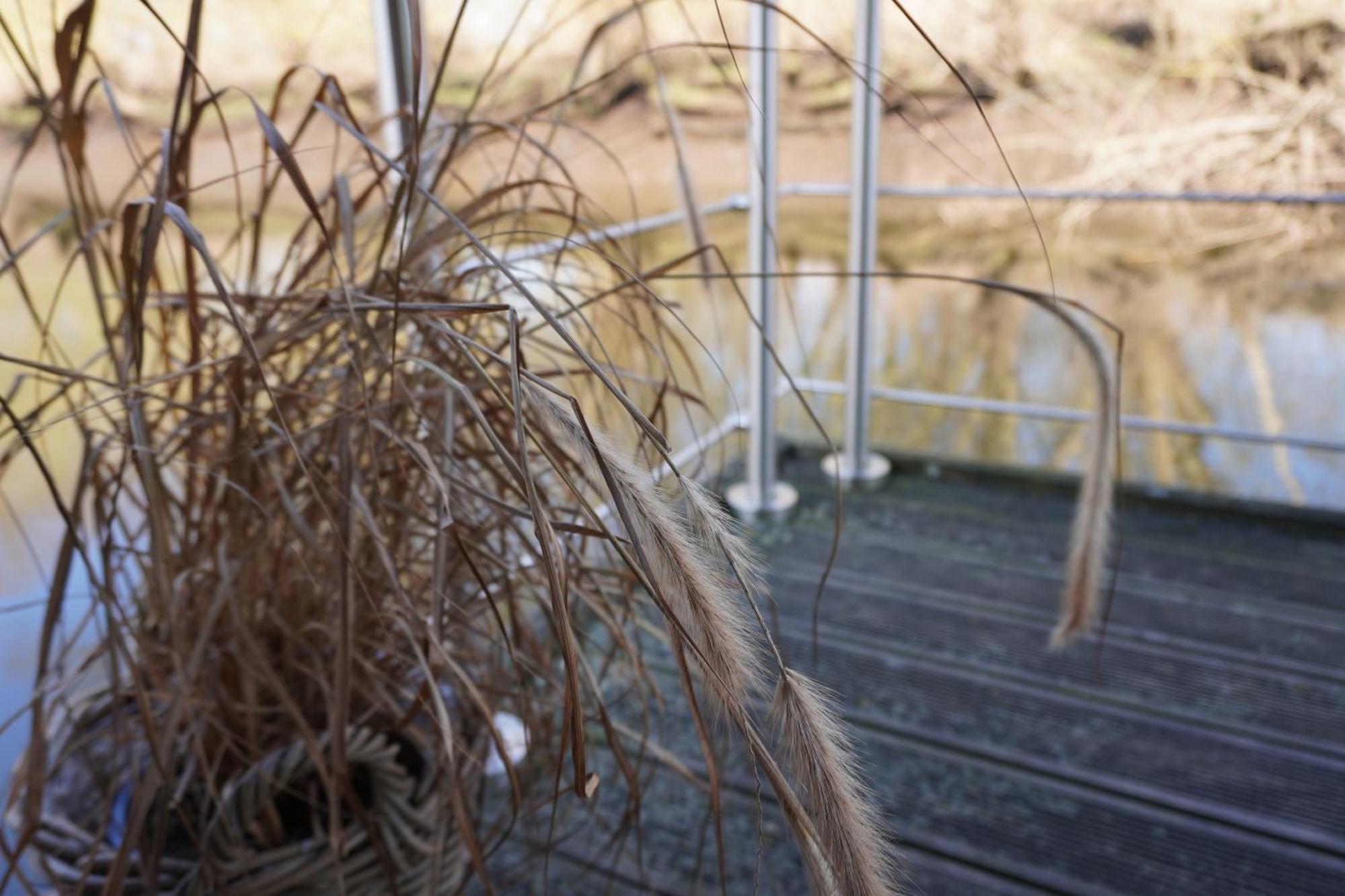 Villa Hausboot Stoeckte Winsen  Esterno foto